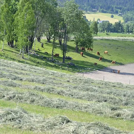 Hotel Renskaug Vertsgård *